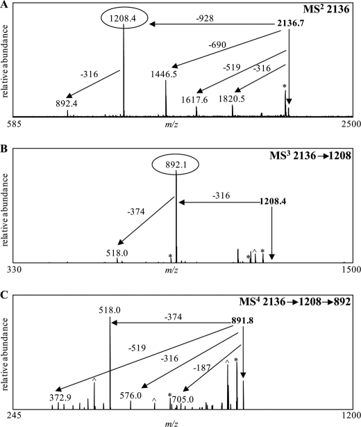 FIGURE 7.