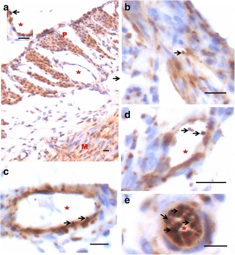 Fig 9