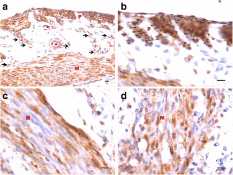 Fig. 8