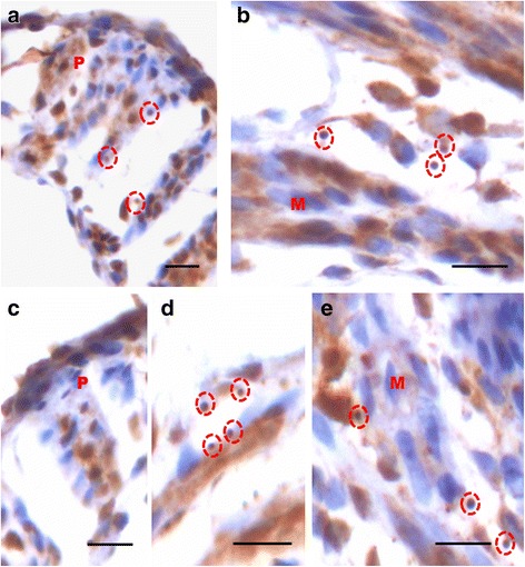 Fig. 11