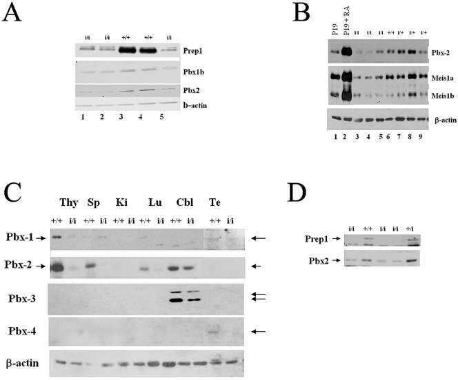 FIG. 7.