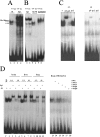 FIG. 6.
