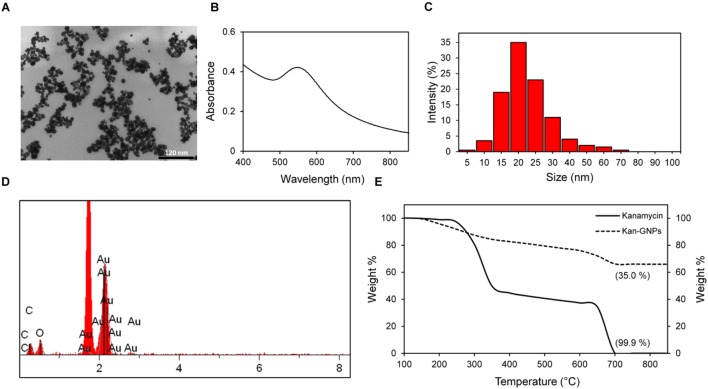 FIGURE 1