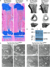 Fig. 8.