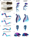 Fig. 7.