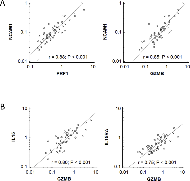 Supplemental Figure 2