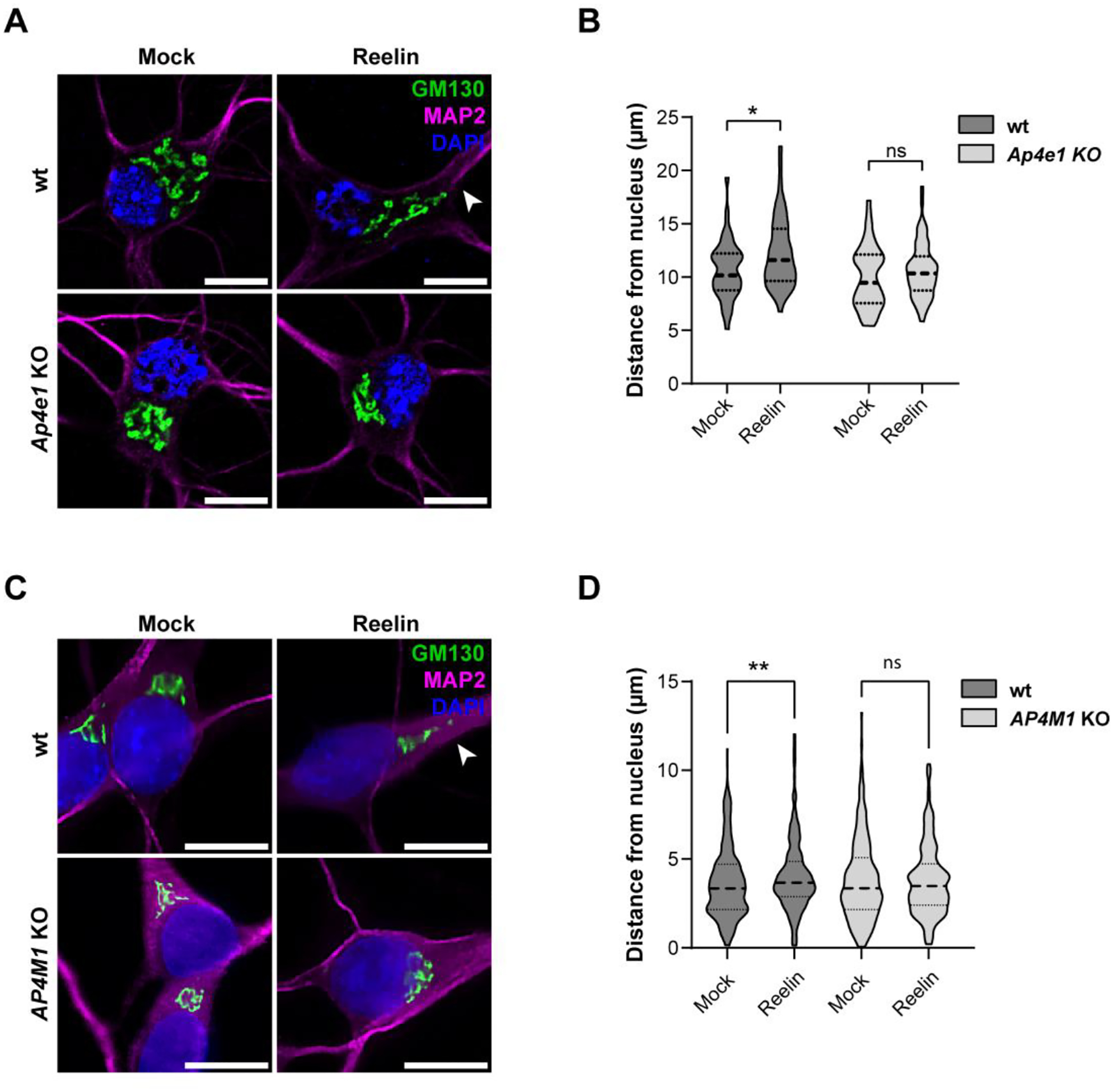 Figure 12.