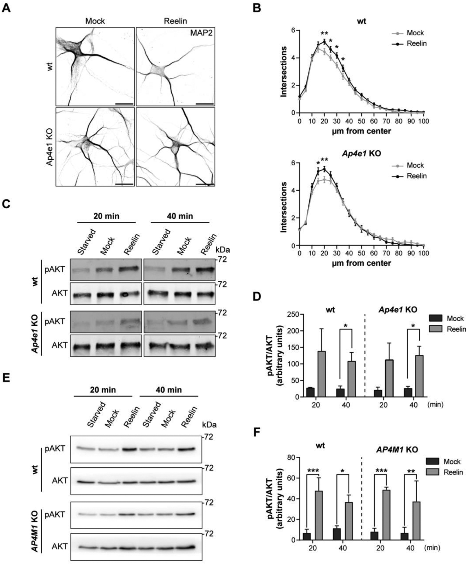 Figure 10: