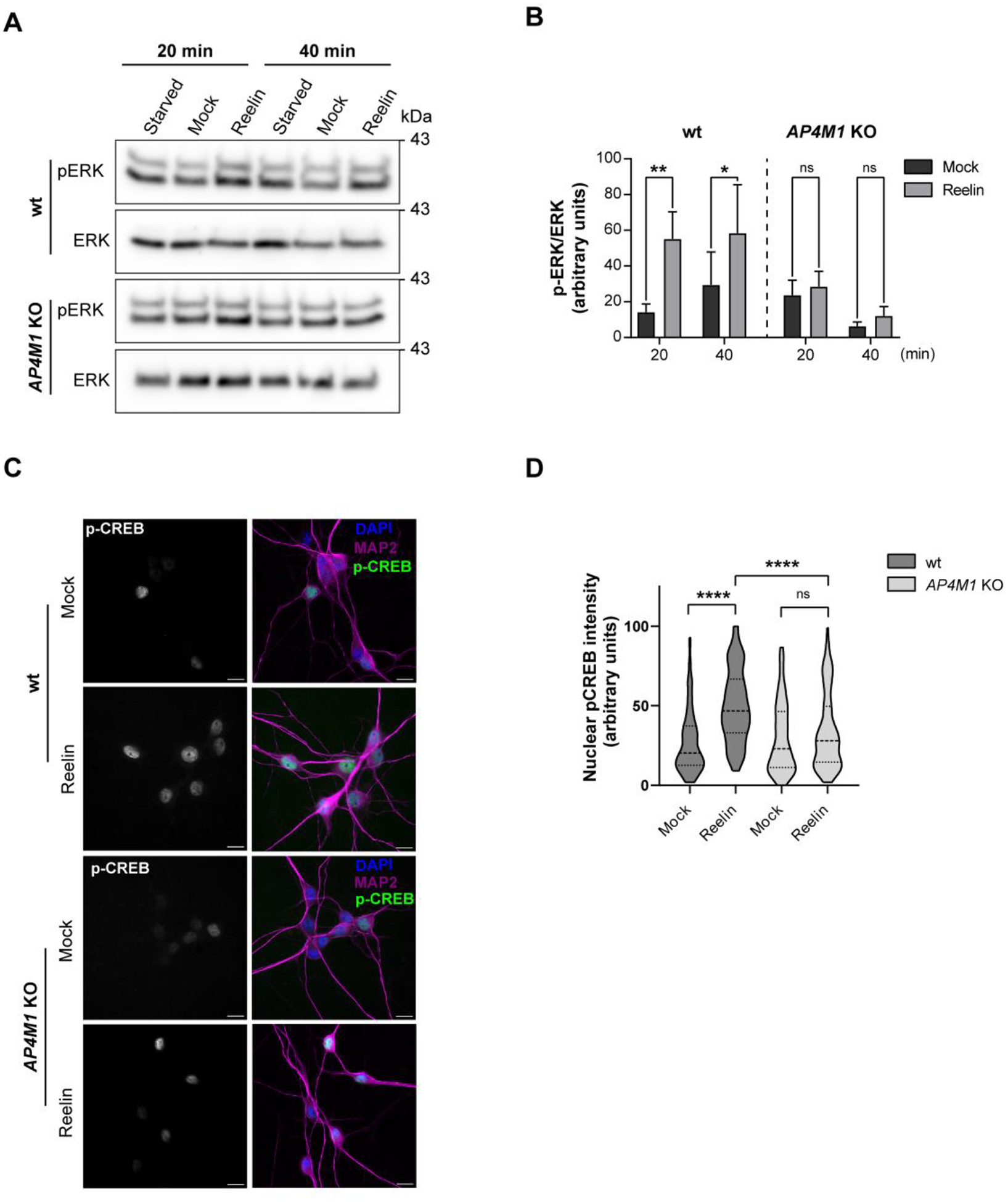 Figure 11: