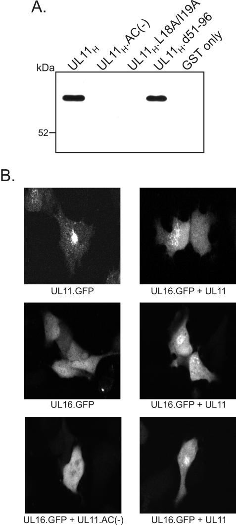 FIG. 5.