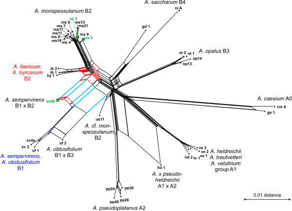 Figure 9