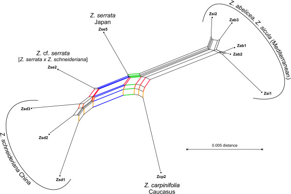 Figure 11