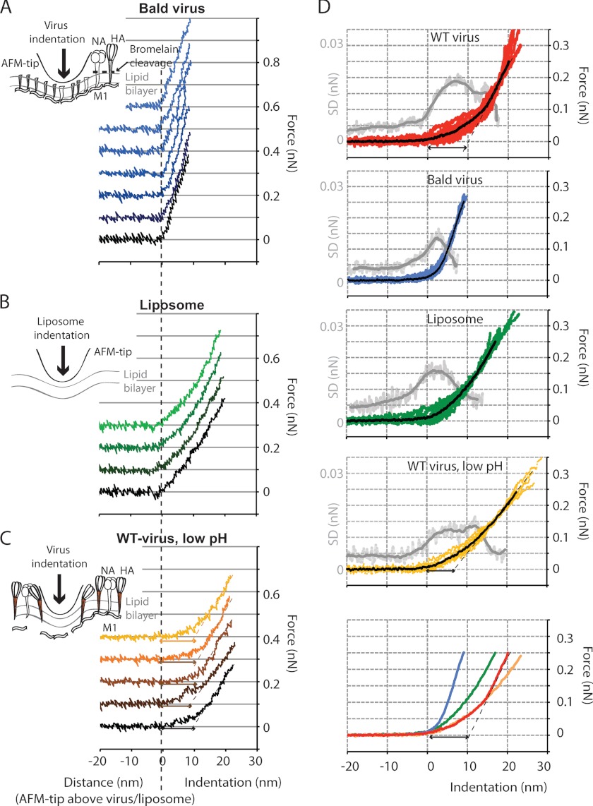 FIGURE 4.