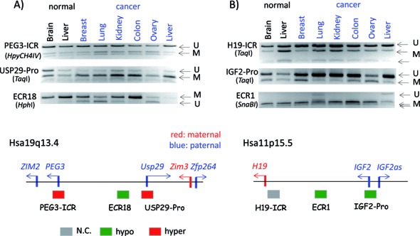 Figure 6.