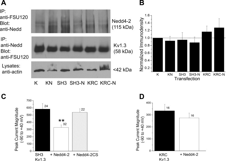 Fig. 8.