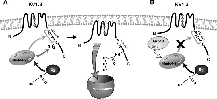 Fig. 9.