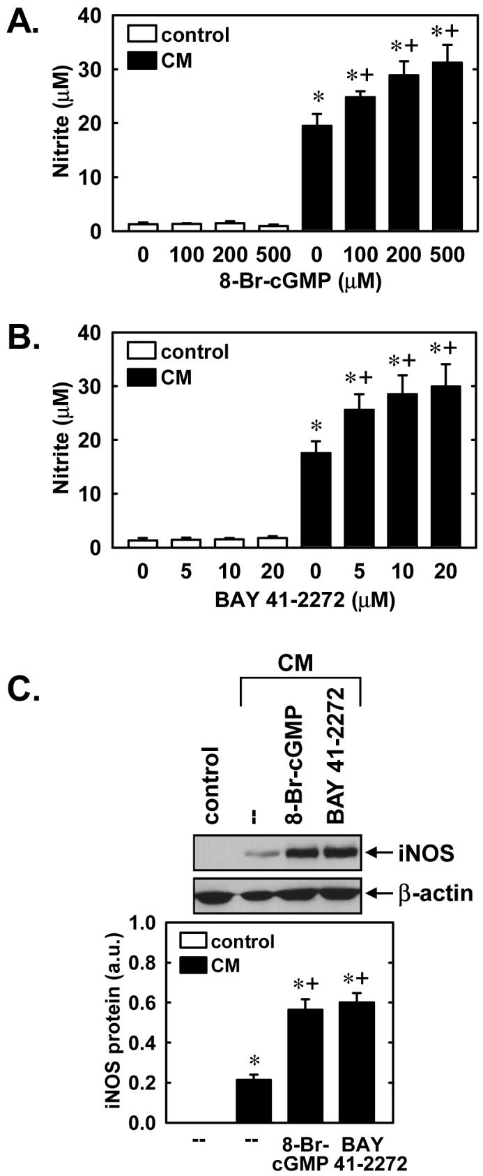 Figure 9