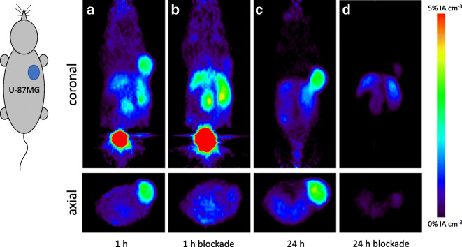 Fig. 3.