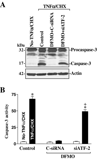 Figure 9.