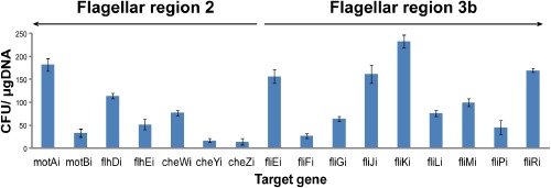 Fig 5