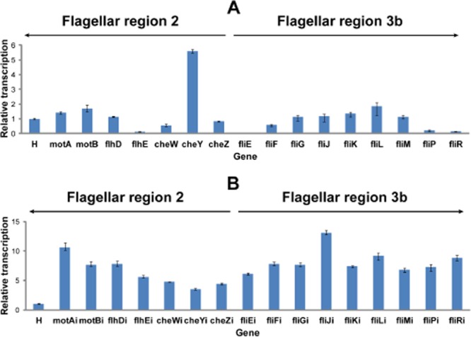 Fig 7