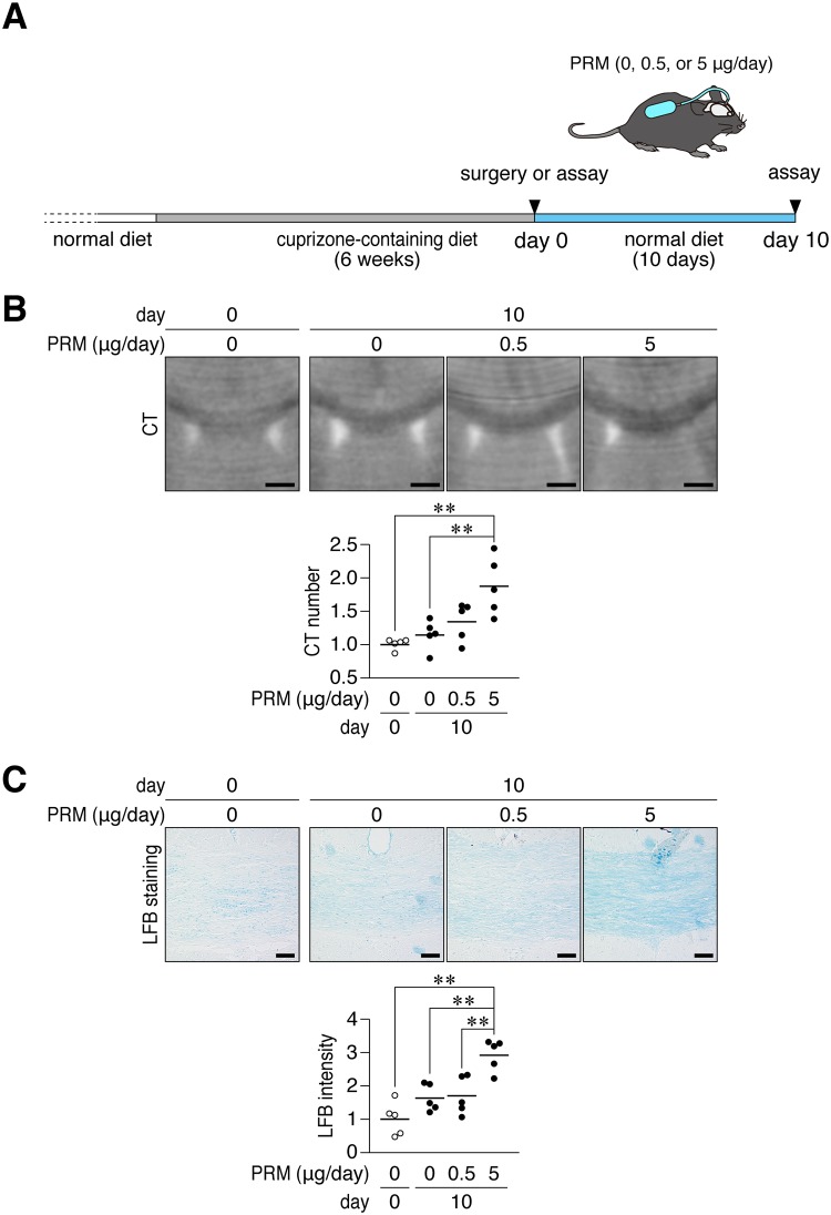 Fig 8