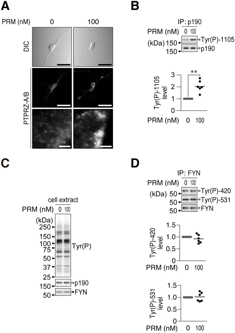 Fig 5