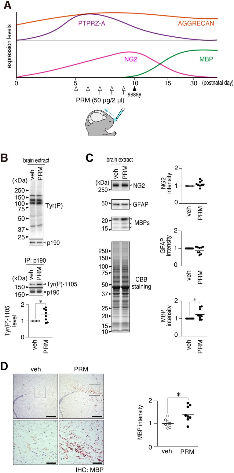 Fig 7