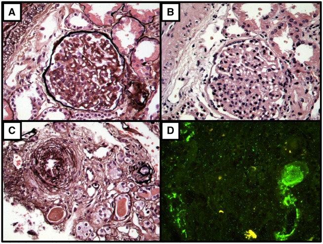 FIGURE 2