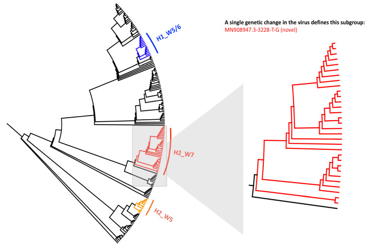 Figure 1—figure supplement 3.