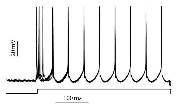 Figure 2