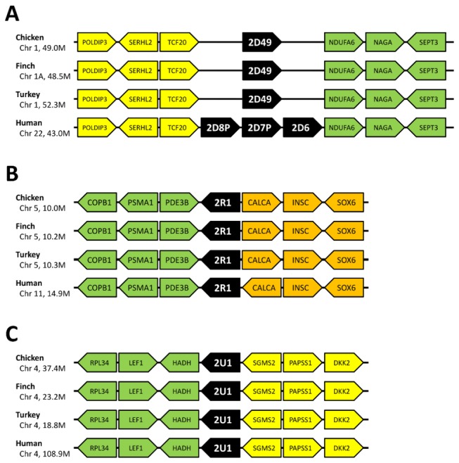 Figure 2