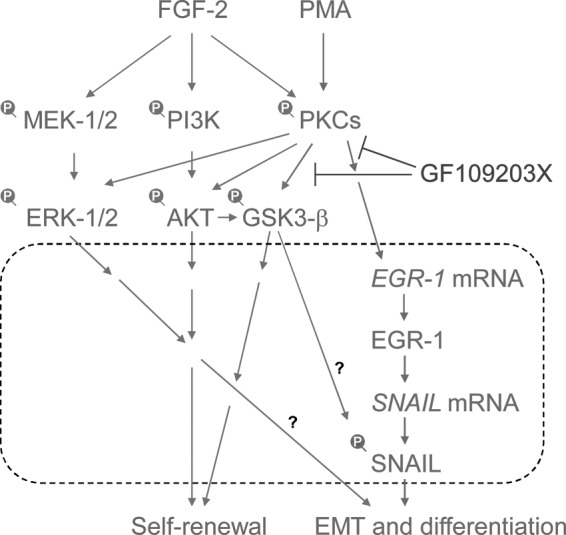 FIG. 5.