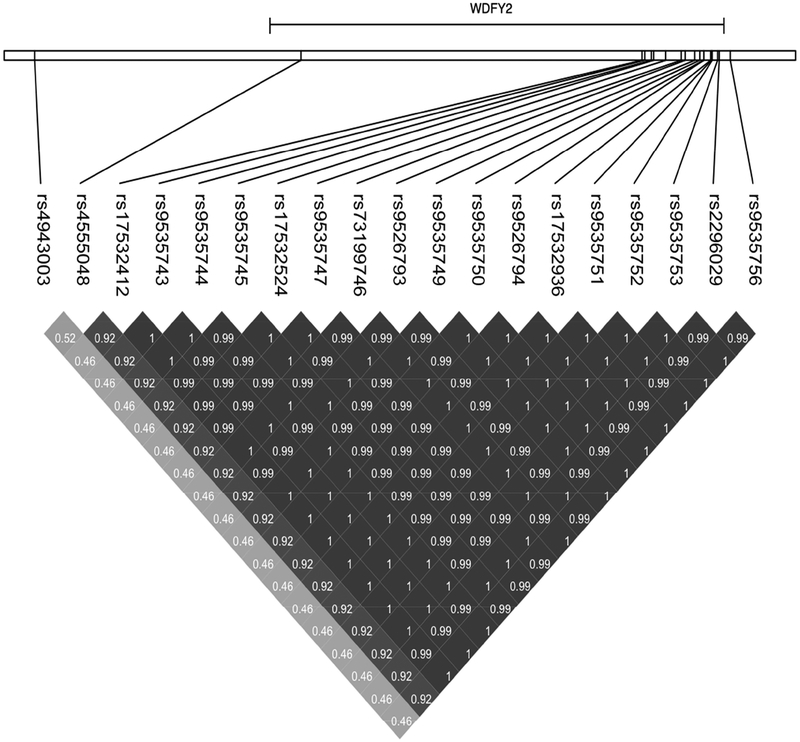 Figure 3: