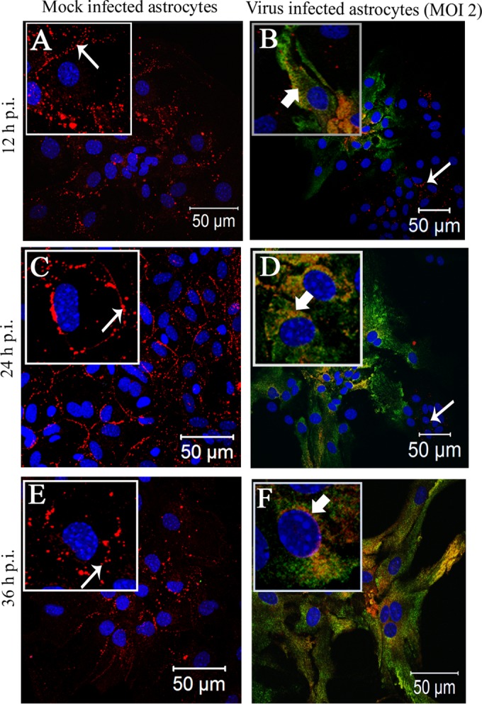 FIG 4