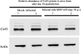 FIG 11
