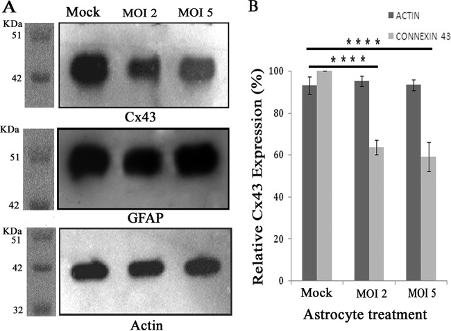 FIG 6