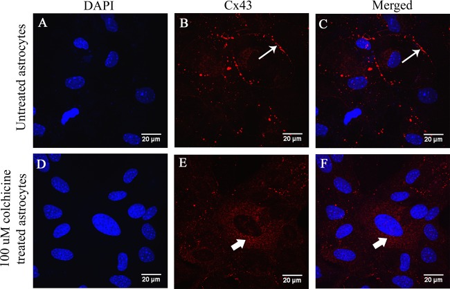 FIG 13