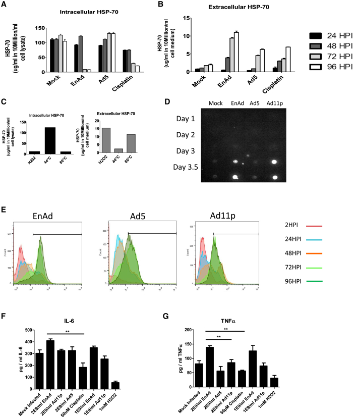 Figure 6