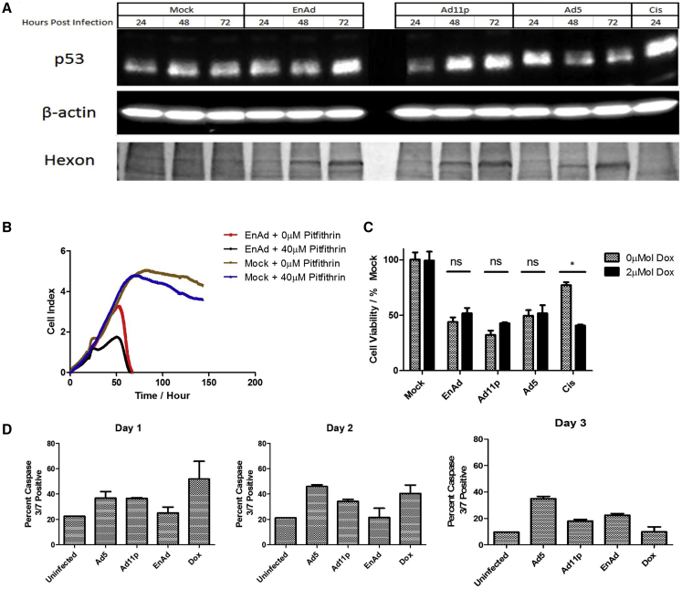 Figure 3