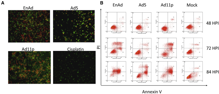 Figure 4