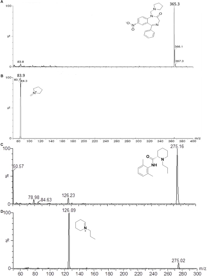 FIGURE 1