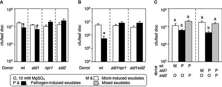 Figure 5