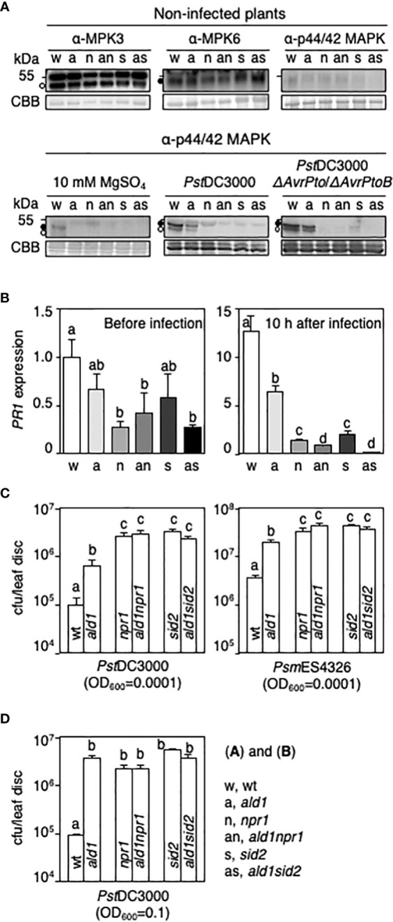 Figure 1