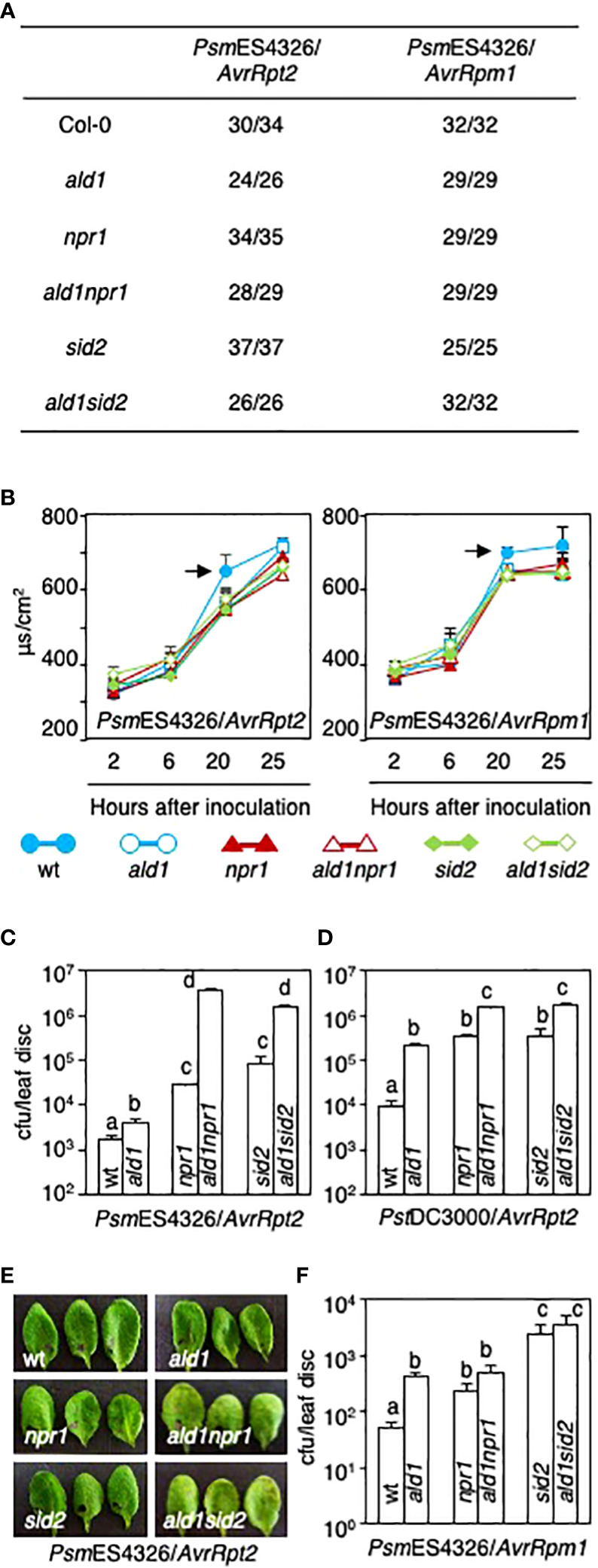 Figure 3