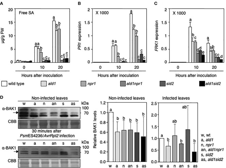 Figure 4