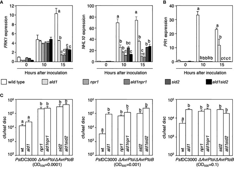 Figure 2