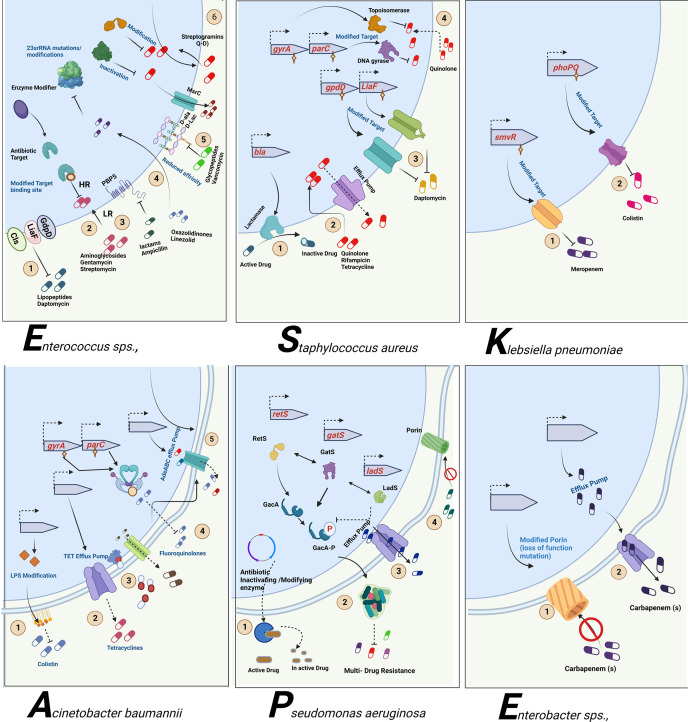 Figure 3