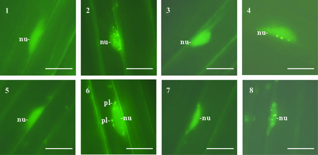 Figure 9.