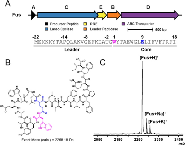 Figure 1.